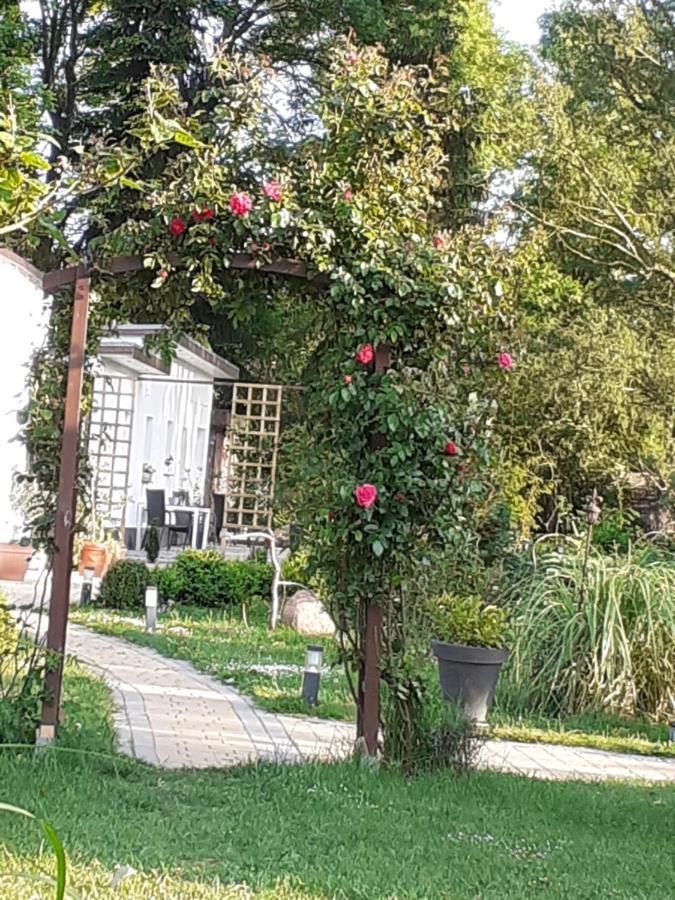 Appartamento Ferienhaus Ciara Splietsdorf Esterno foto